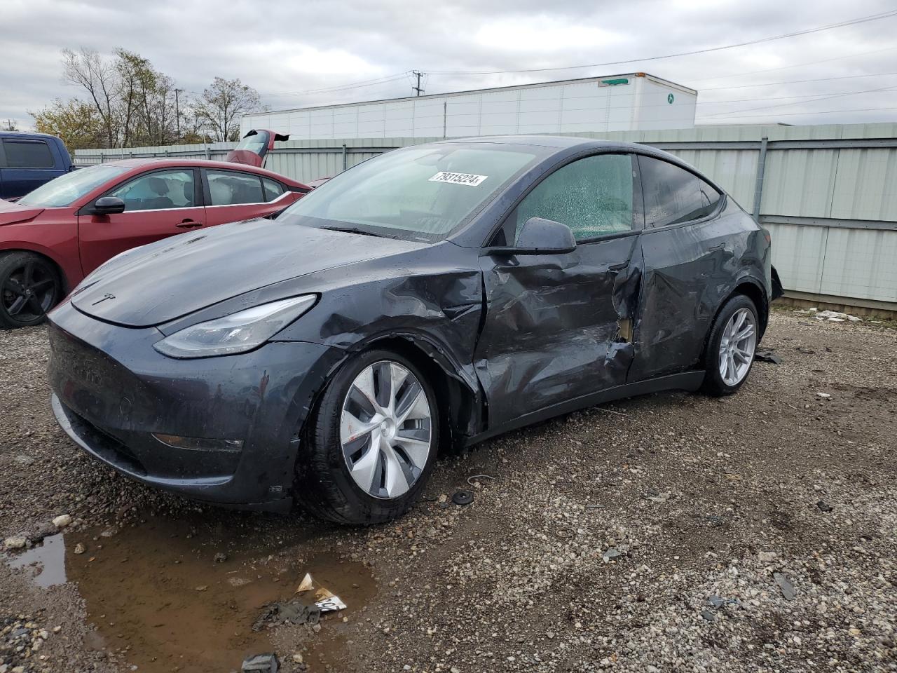TESLA MODEL Y 2024