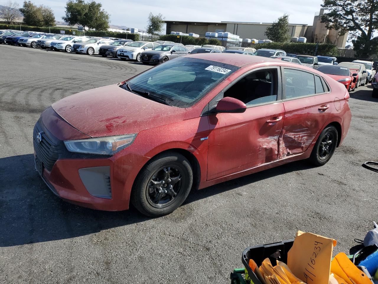 HYUNDAI IONIQ BLUE 2019
