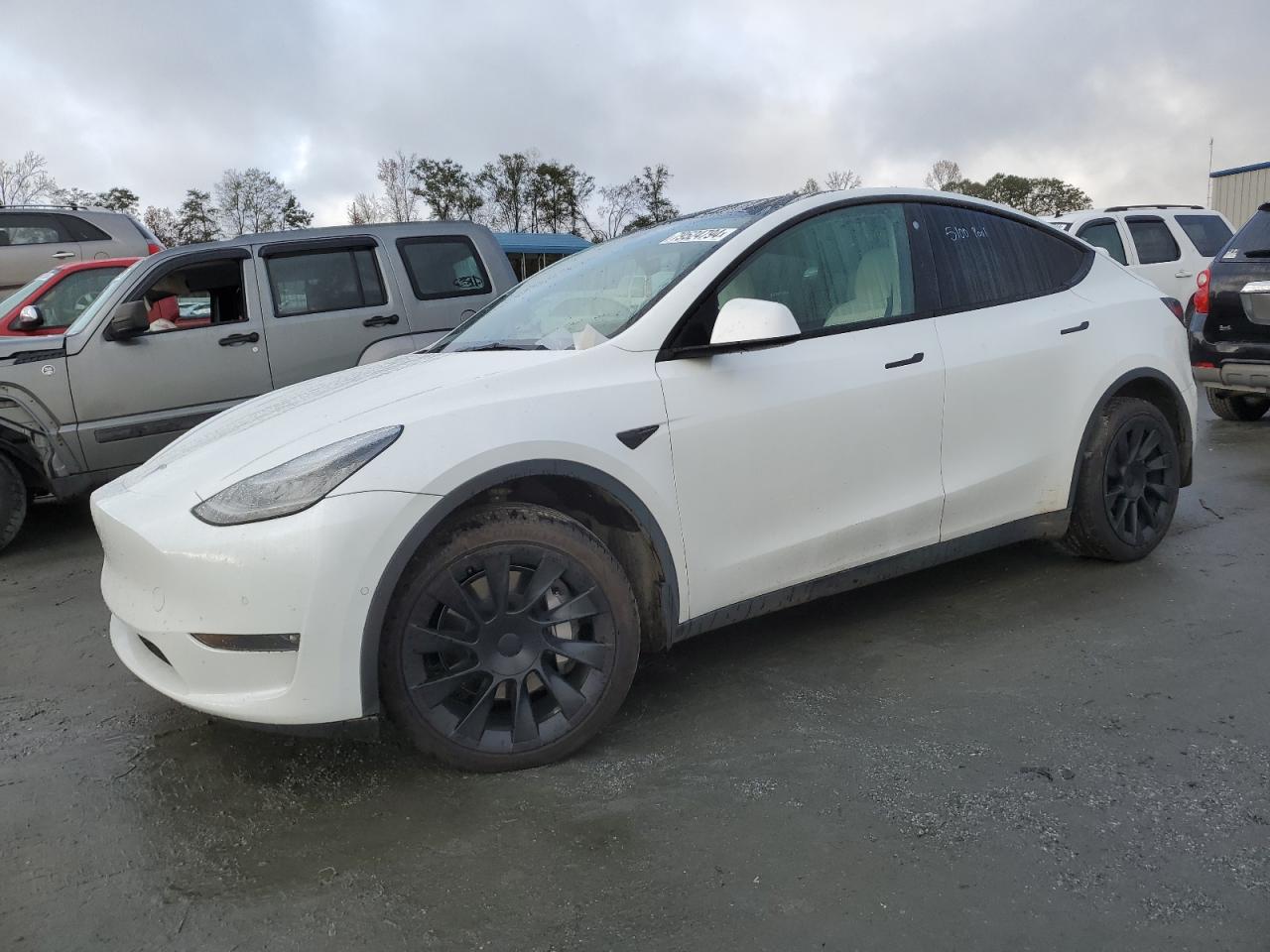 TESLA MODEL Y 2021