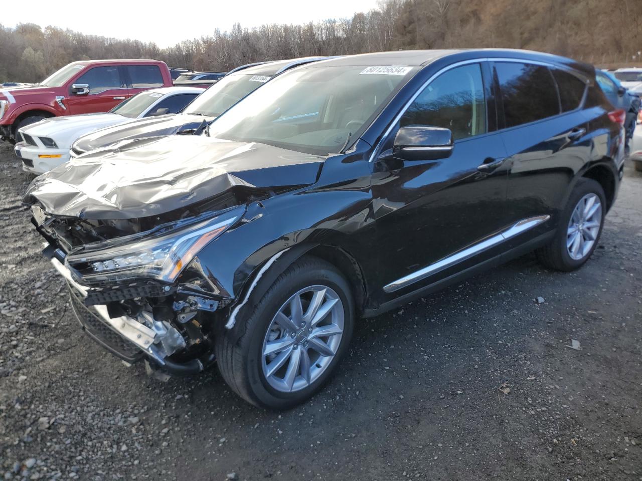 ACURA RDX 2024