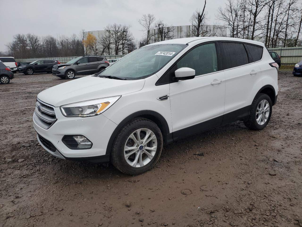 FORD ESCAPE SE 2017