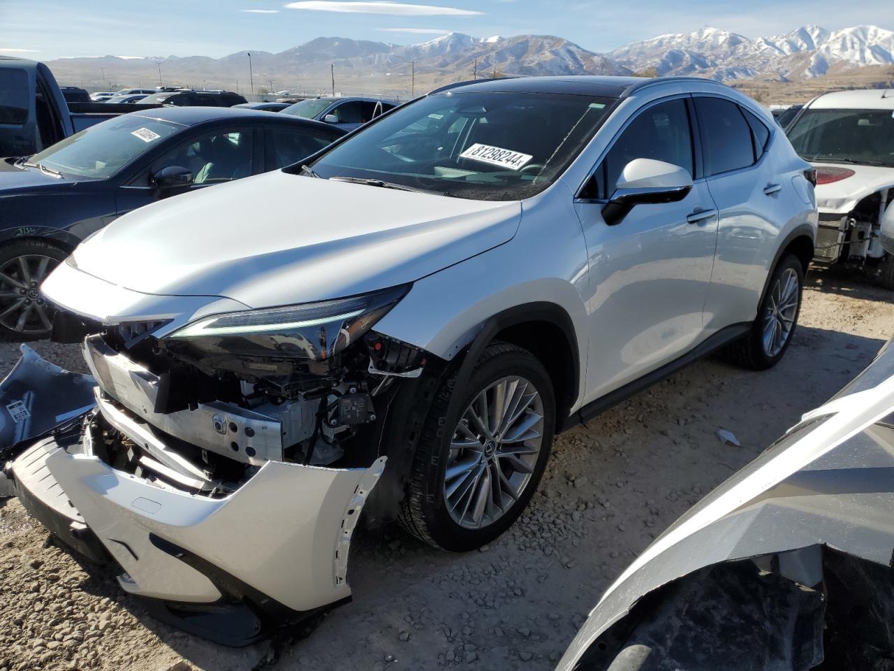 LEXUS NX 2025
