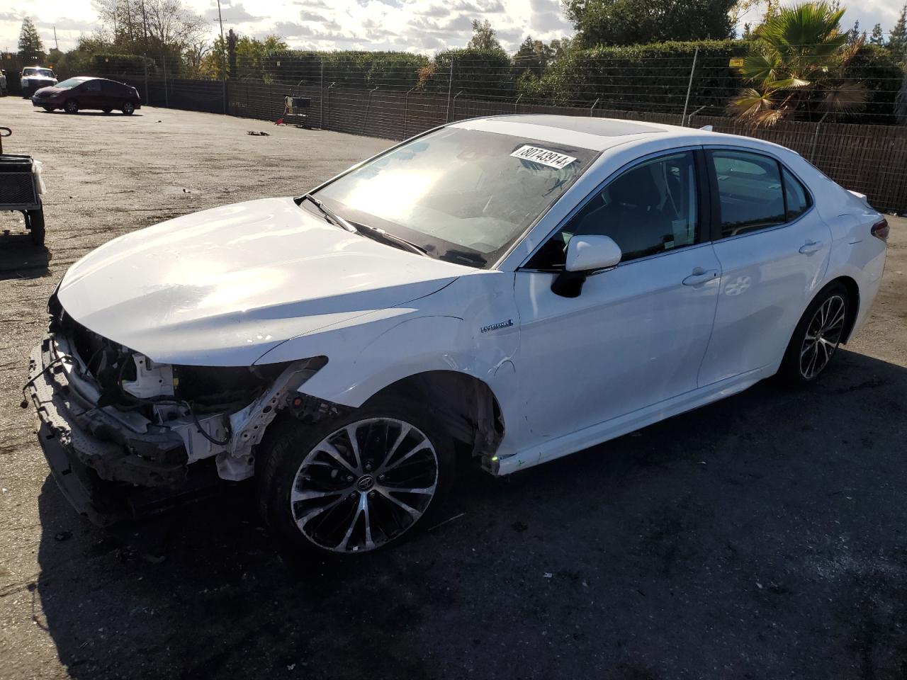TOYOTA CAMRY SE 2020