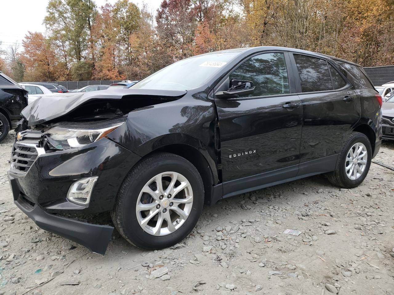 CHEVROLET EQUINOX LS 2021