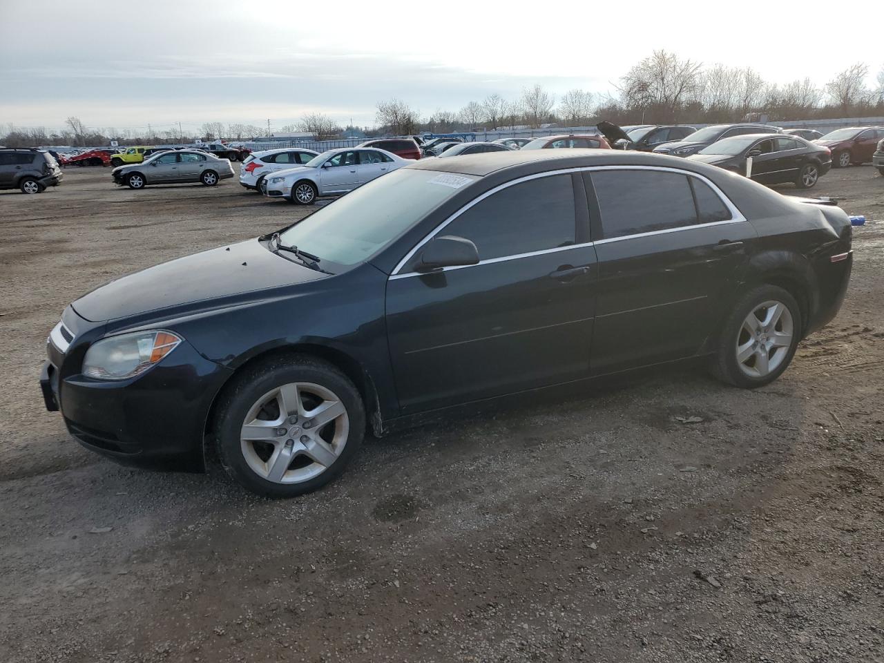 CHEVROLET MALIBU LS 2010