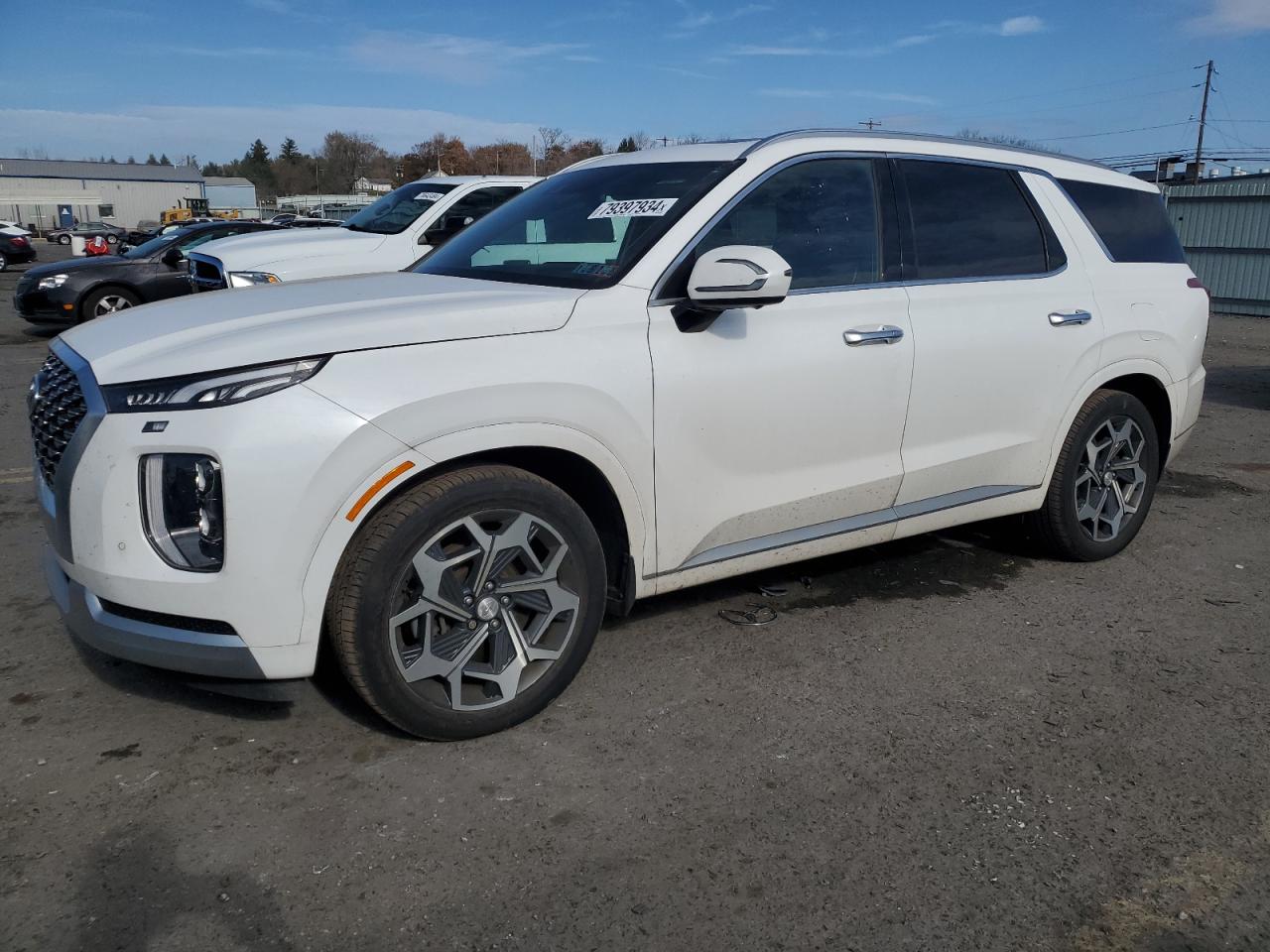 HYUNDAI PALISADE C 2021