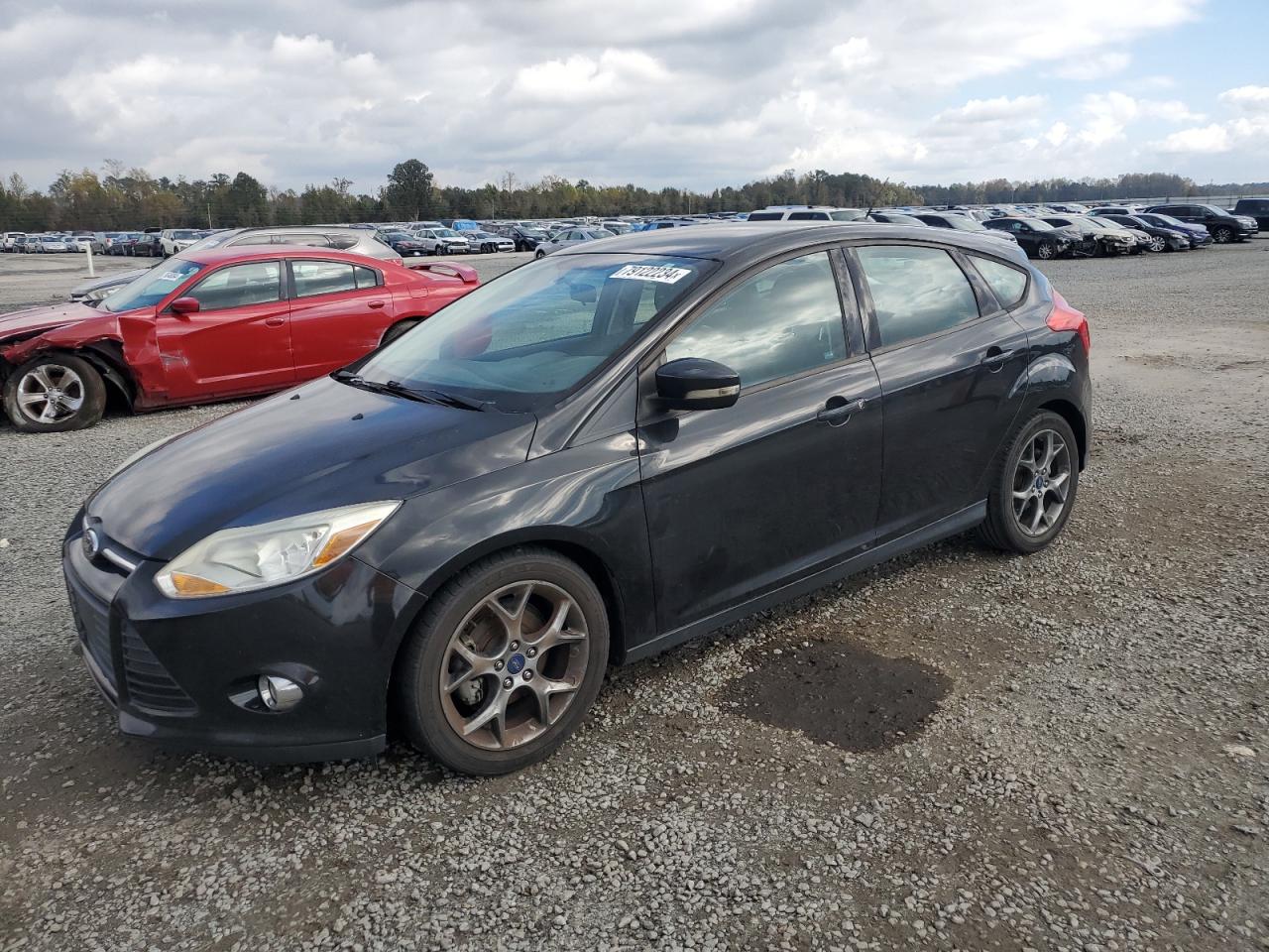 FORD FOCUS SE 2014