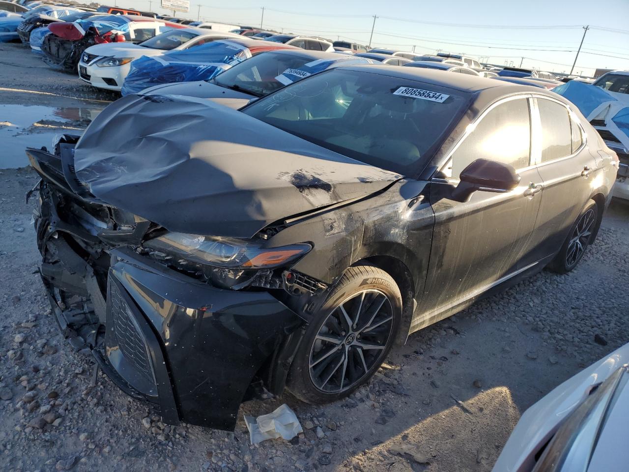 TOYOTA CAMRY SE N 2024