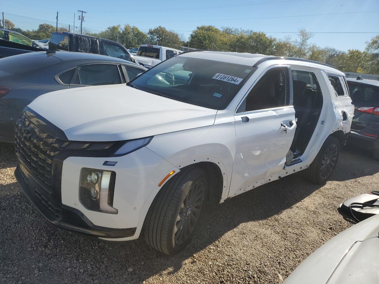 HYUNDAI PALISADE C 2024