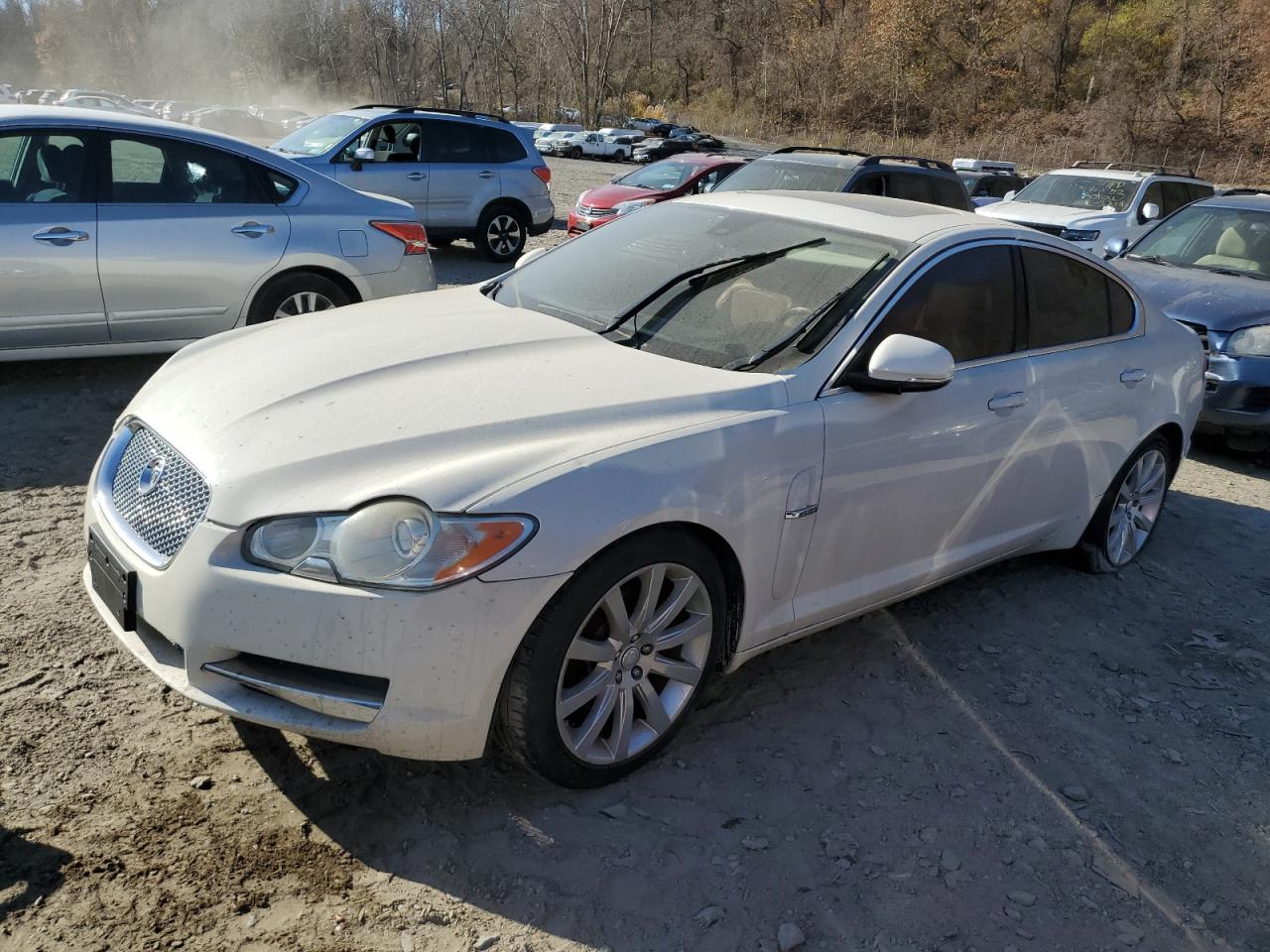 JAGUAR XF LUXURY 2010