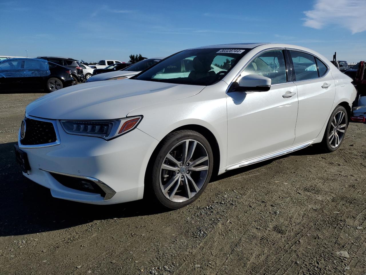 ACURA TLX ADVANC 2019