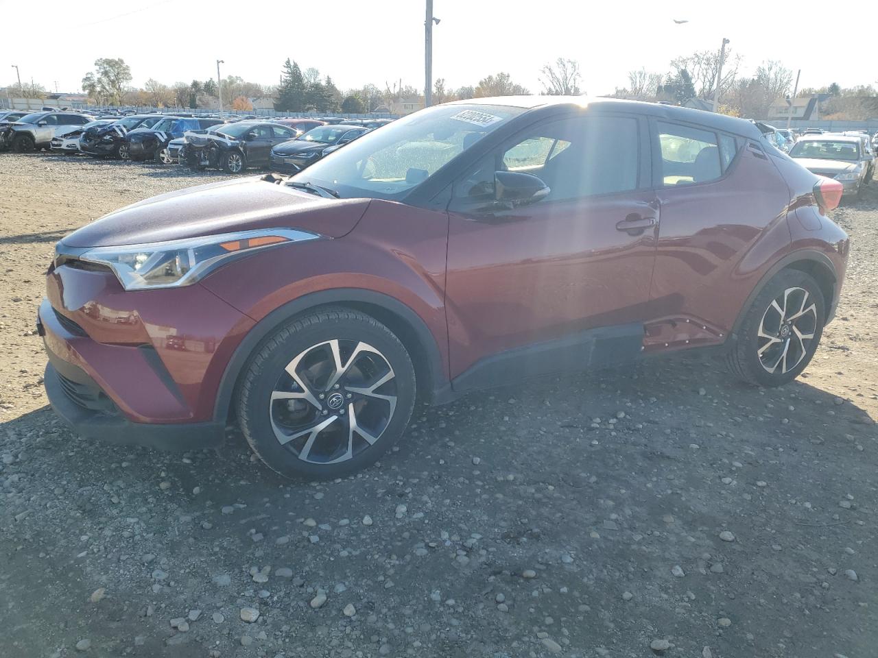 TOYOTA C-HR XLE 2019