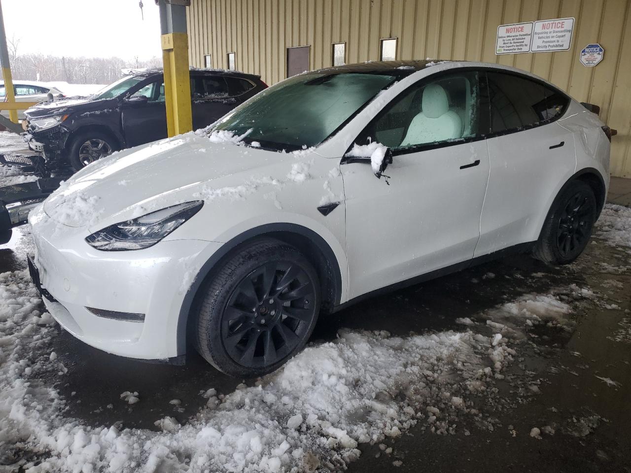 TESLA MODEL Y 2021