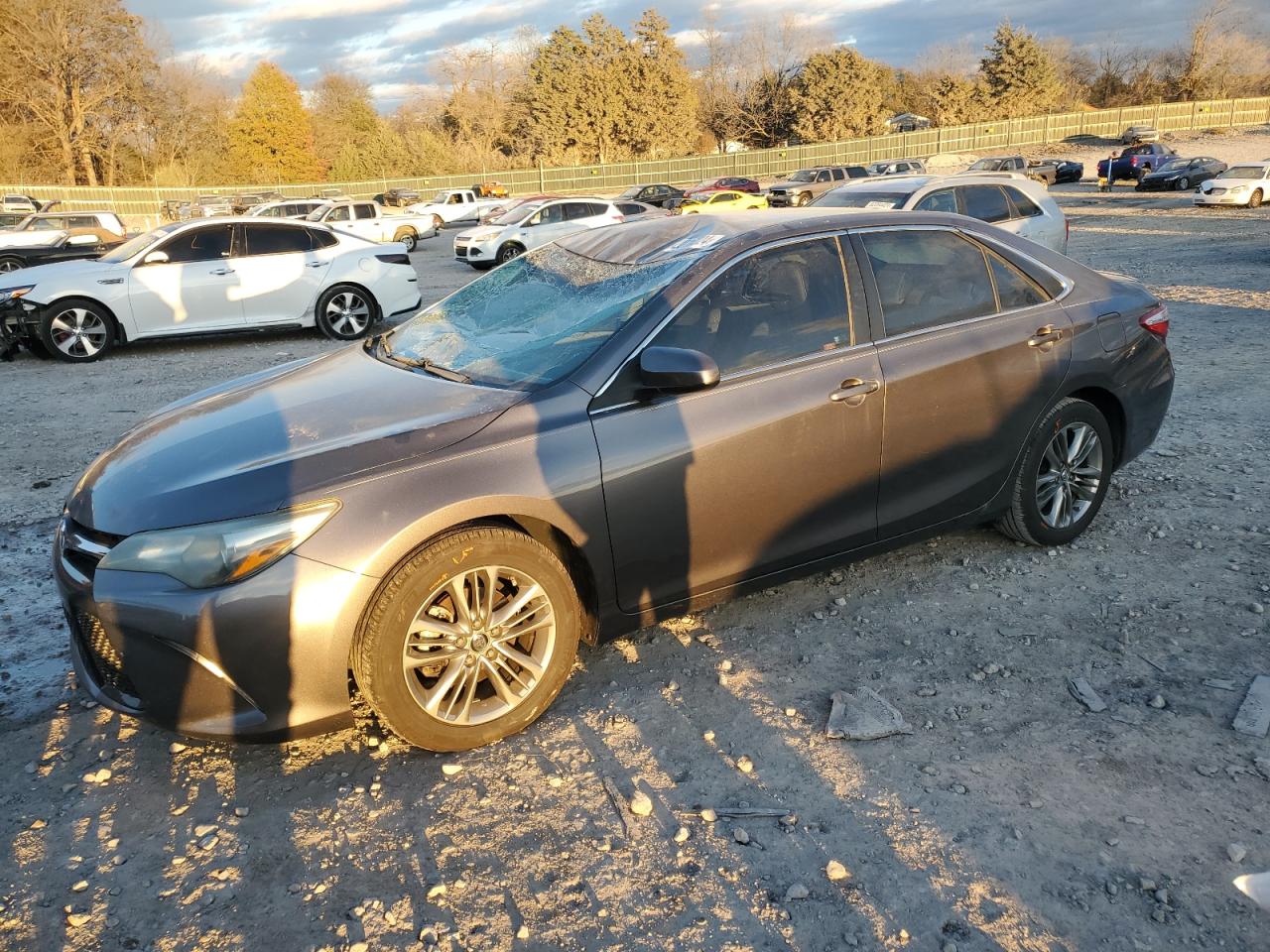 TOYOTA CAMRY LE 2015