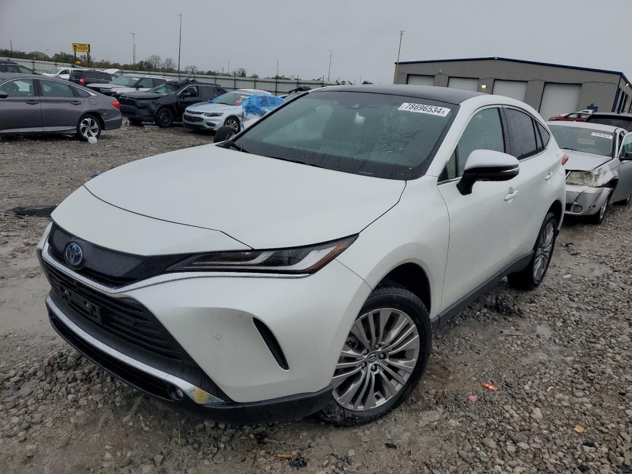 TOYOTA VENZA LE 2024