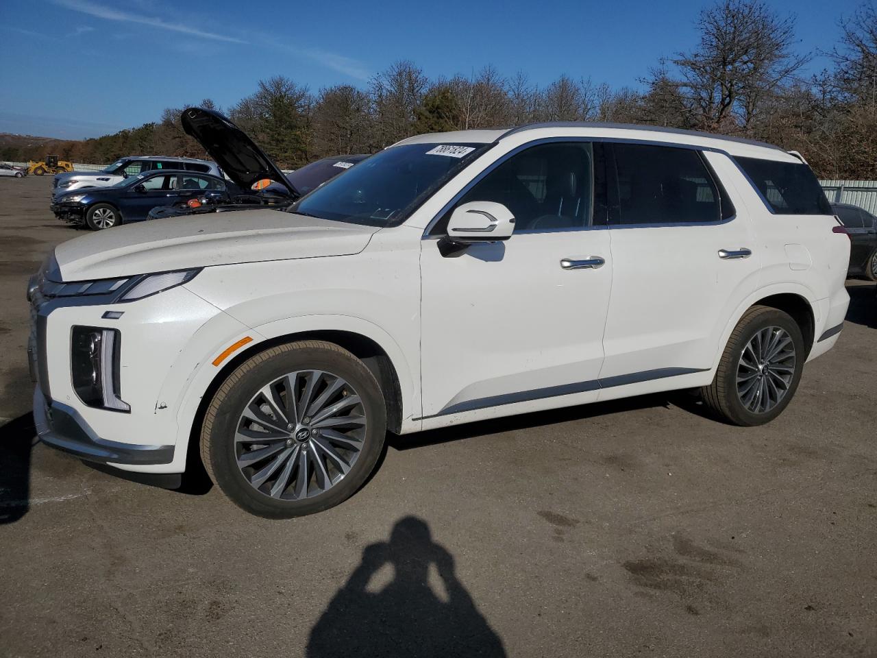 HYUNDAI PALISADE C 2024