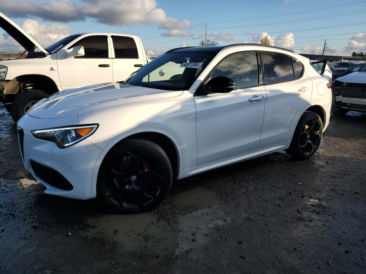 ALFA ROMEO STELVIO TI 2022