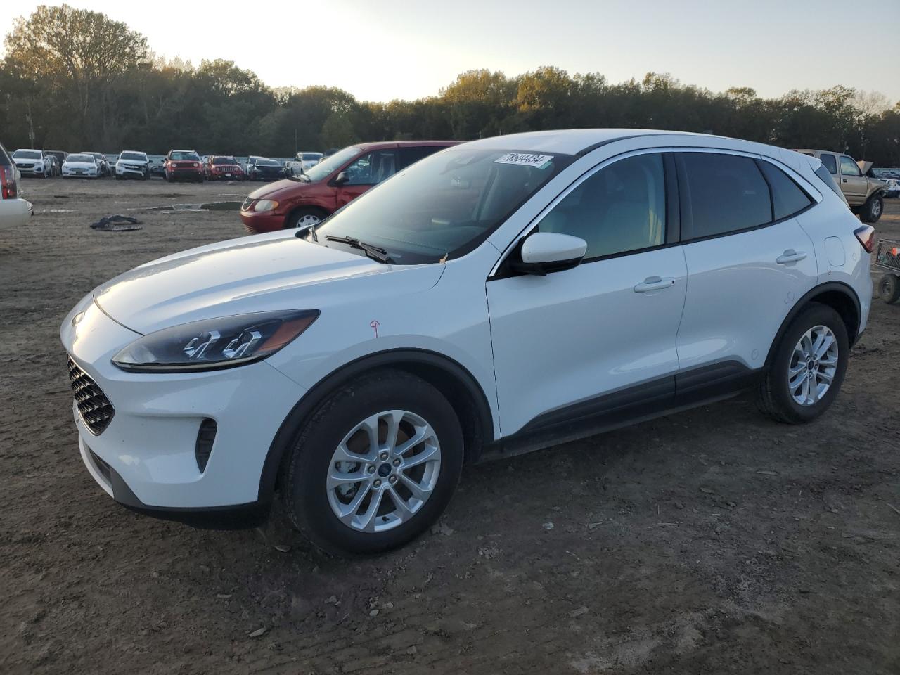 FORD ESCAPE SE 2020