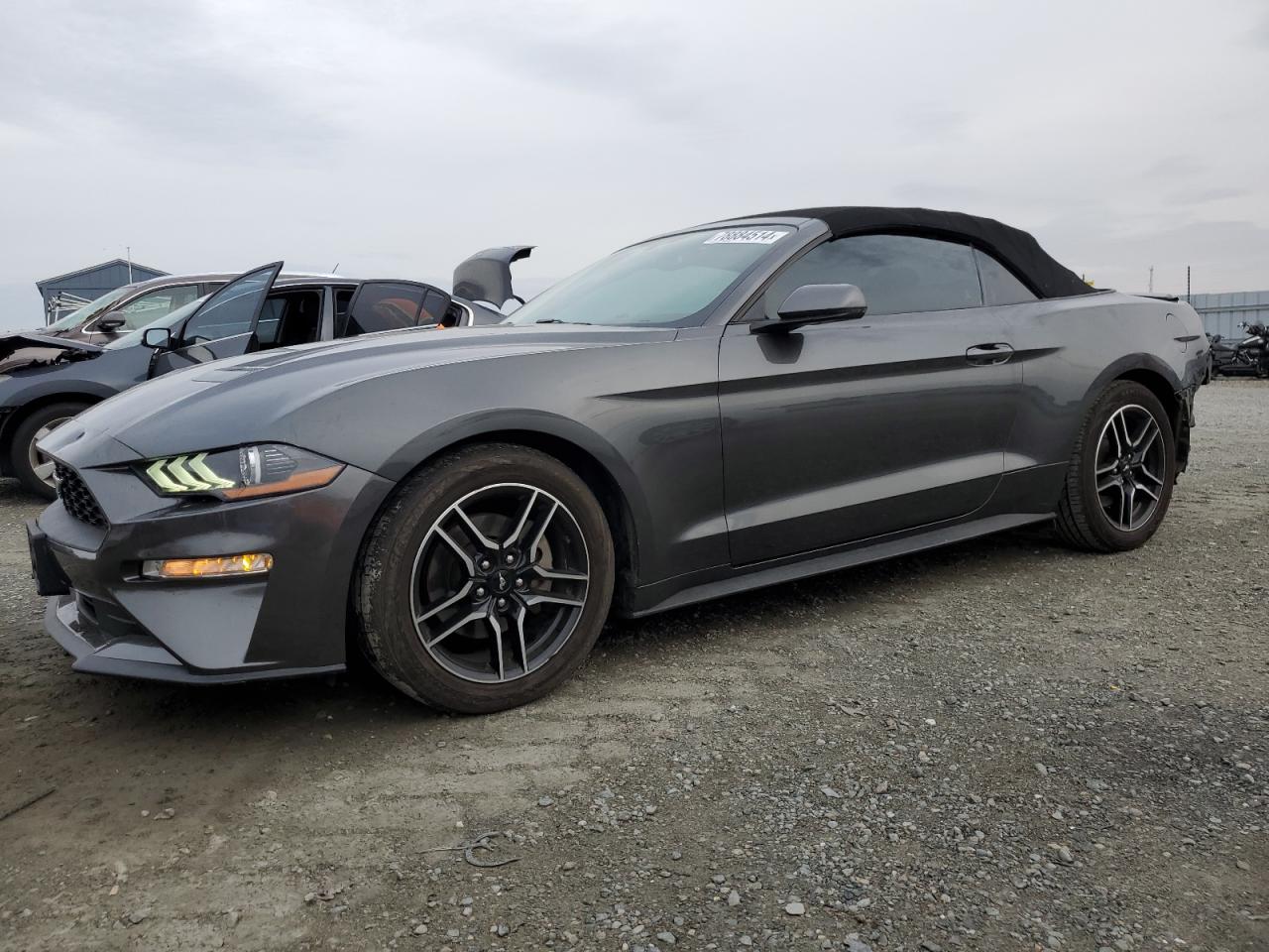 FORD MUSTANG 2019