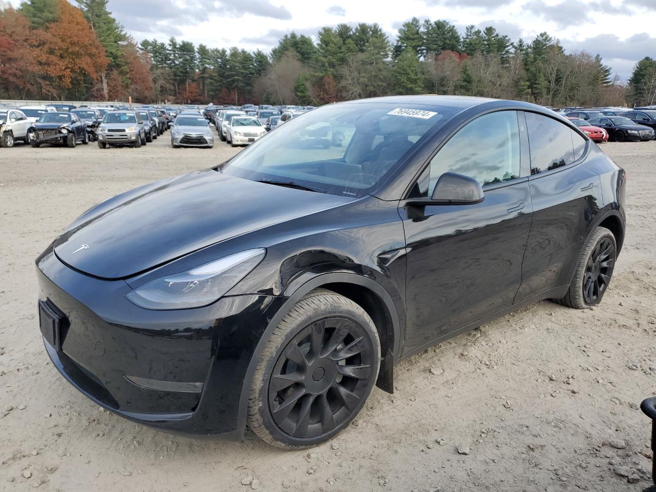 TESLA MODEL Y 2024