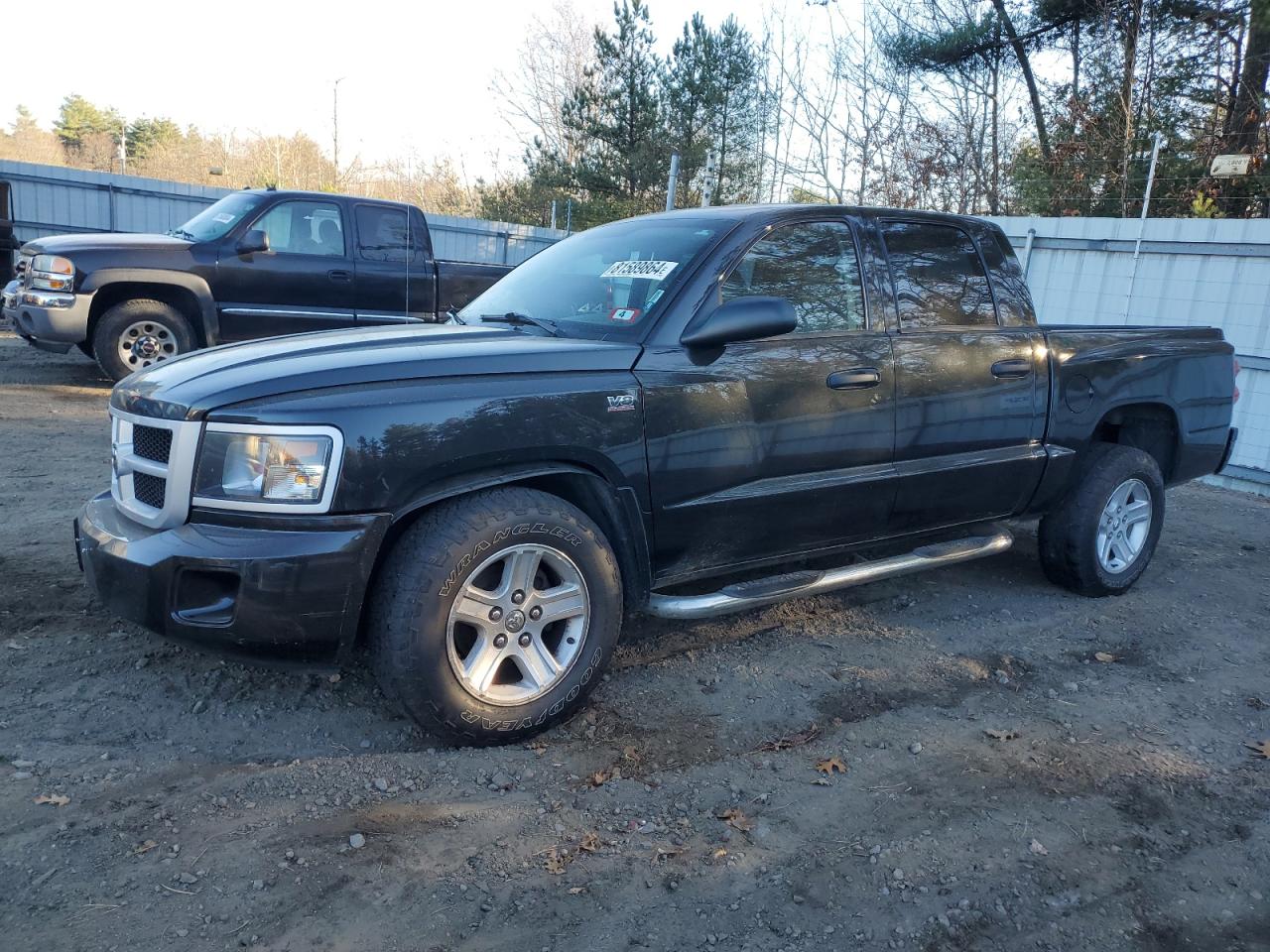 DODGE DAKOTA 2011