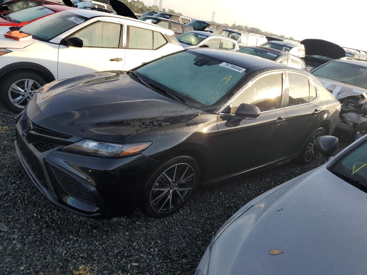 TOYOTA CAMRY SE N 2024