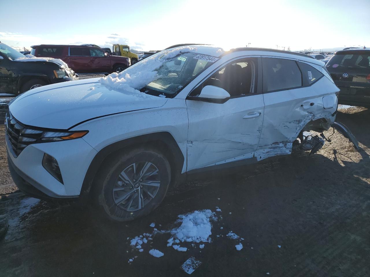 HYUNDAI TUCSON BLU 2024