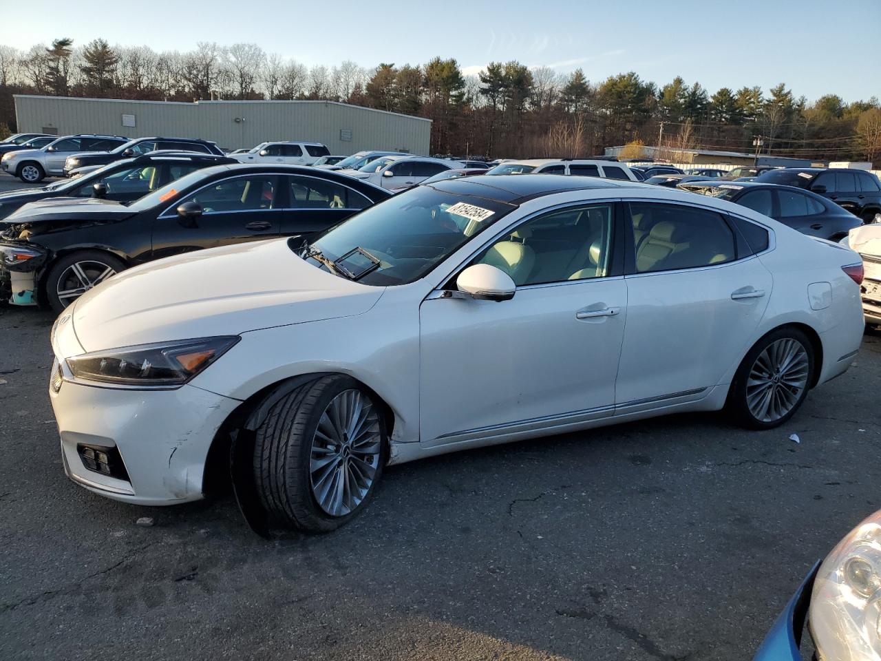 KIA CADENZA PR 2017
