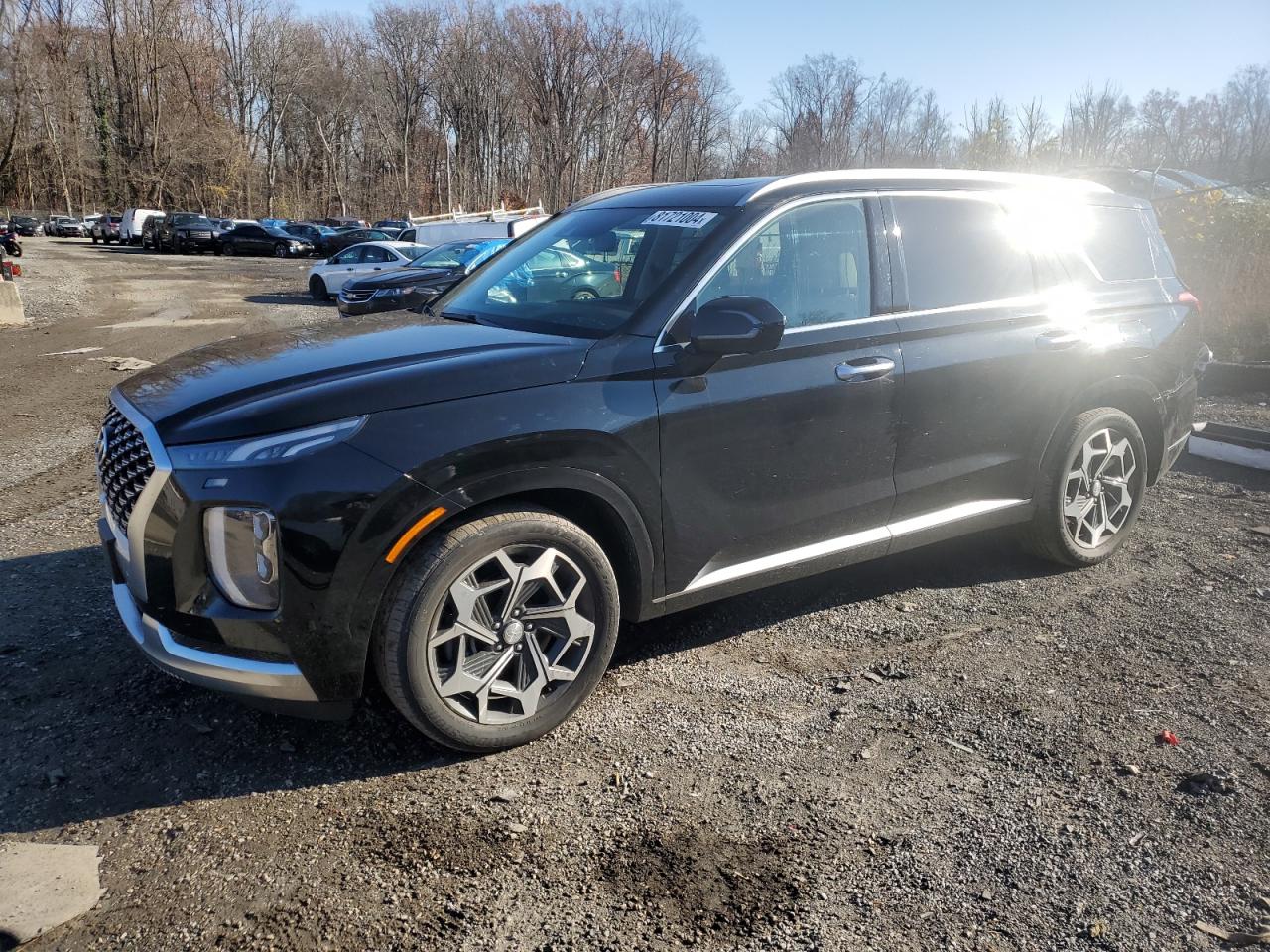 HYUNDAI PALISADE C 2021