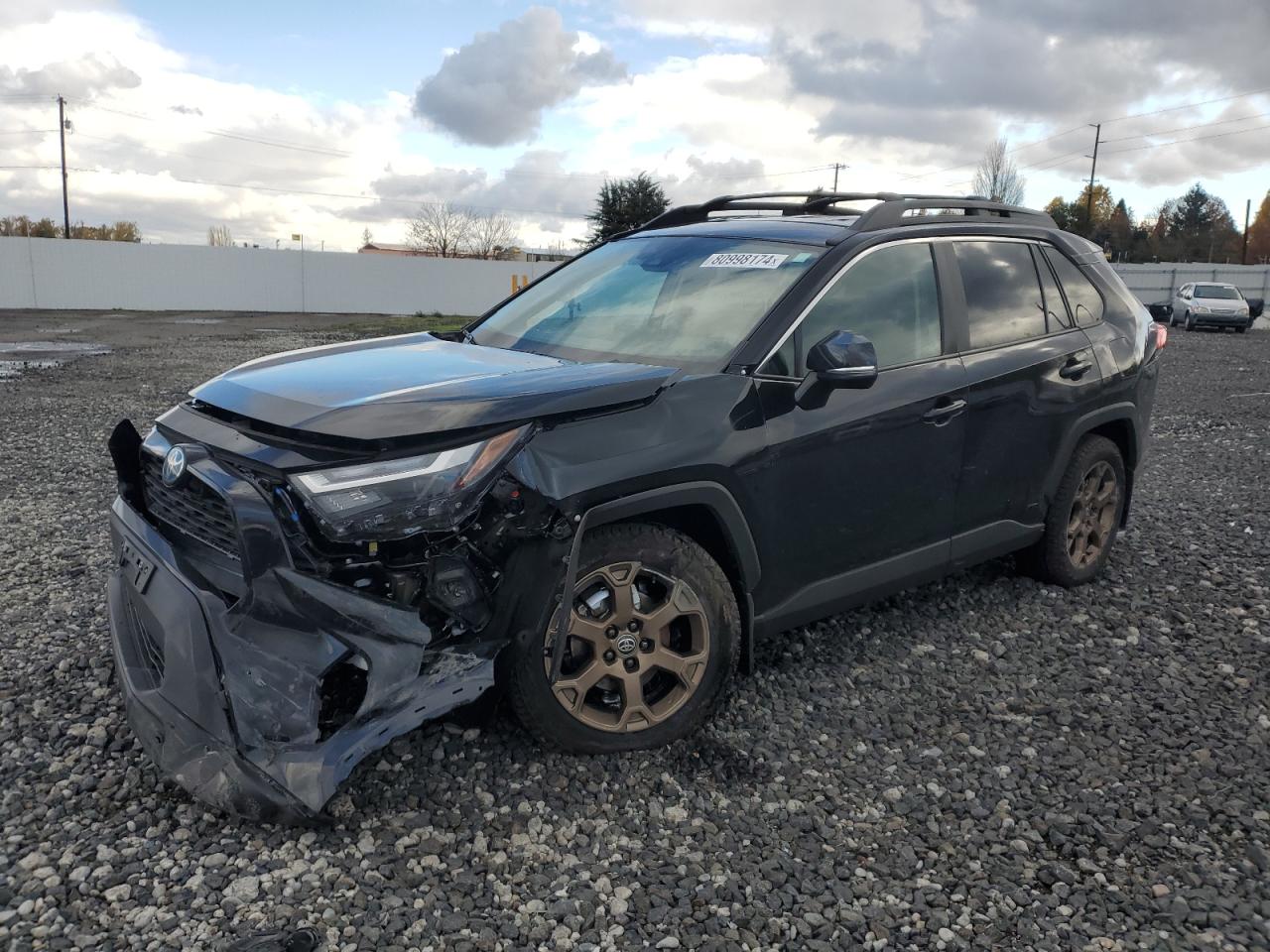 TOYOTA RAV4 WOODL 2024