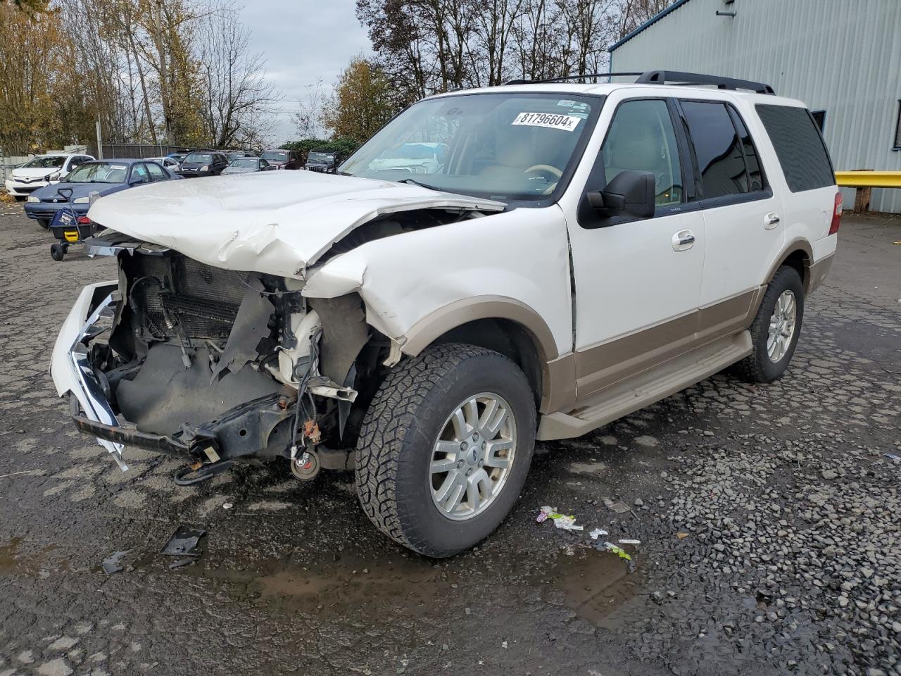 FORD EXPEDITION 2012