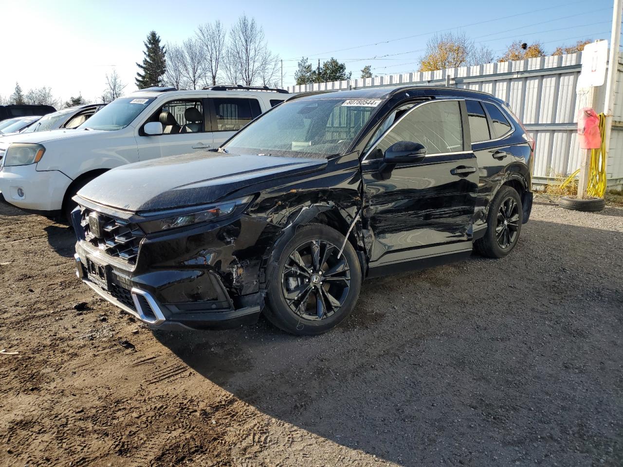 HONDA CR-V SPORT 2024