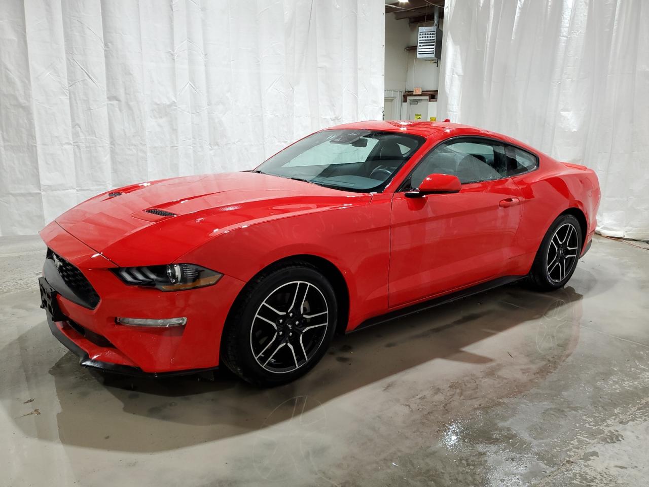 FORD MUSTANG 2023