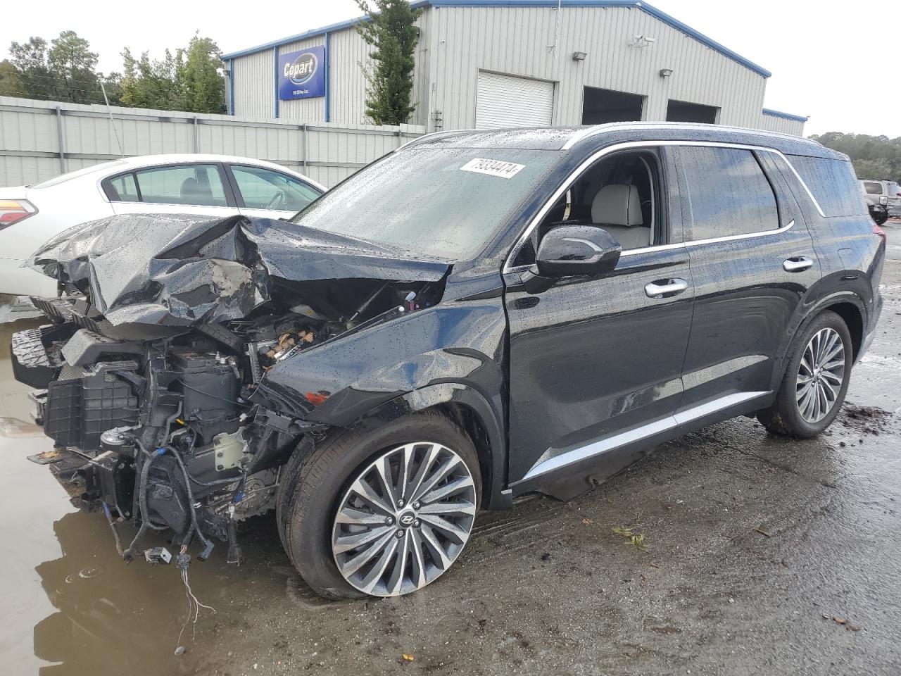 HYUNDAI PALISADE C 2024