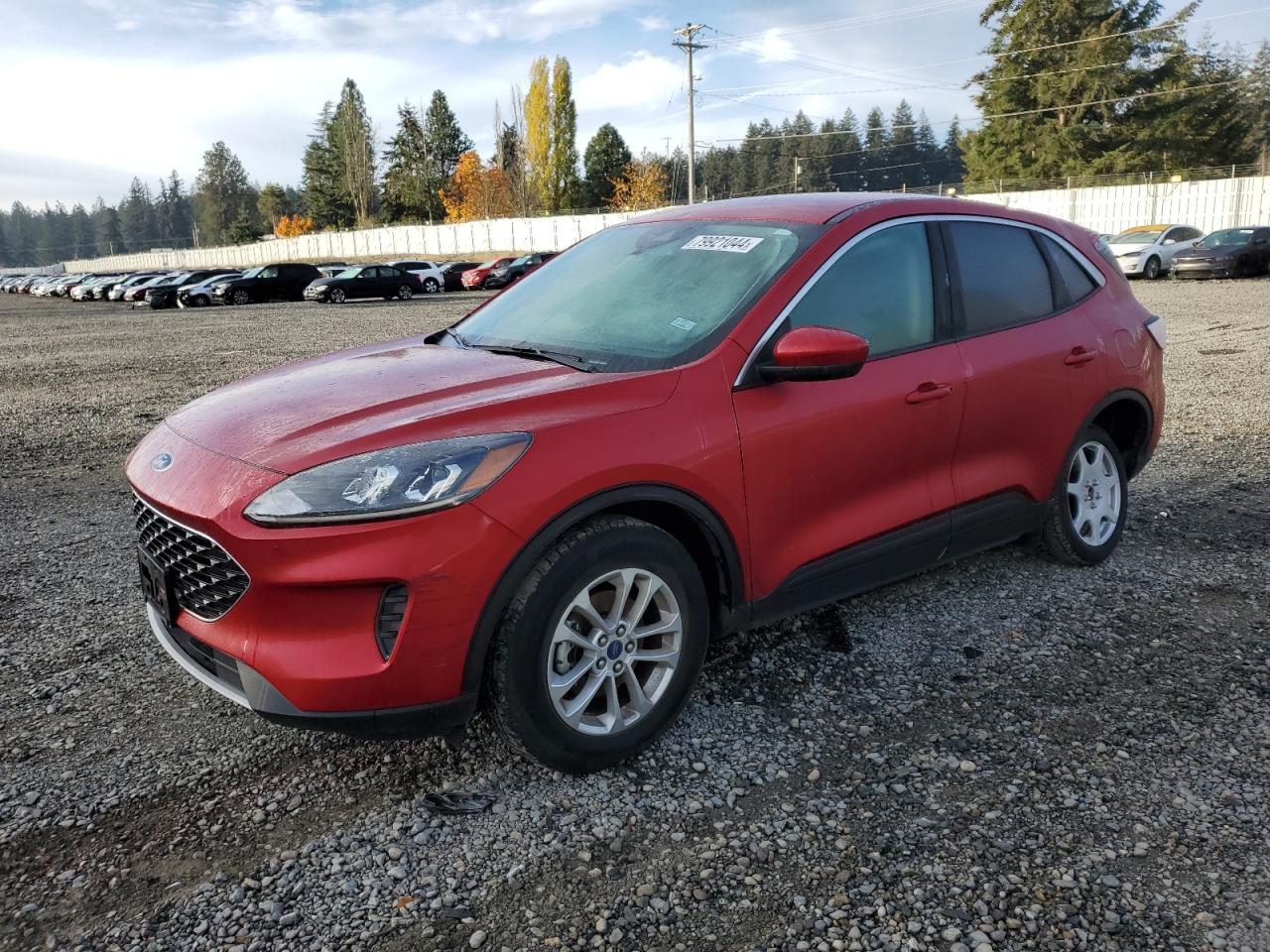 FORD ESCAPE SE 2020
