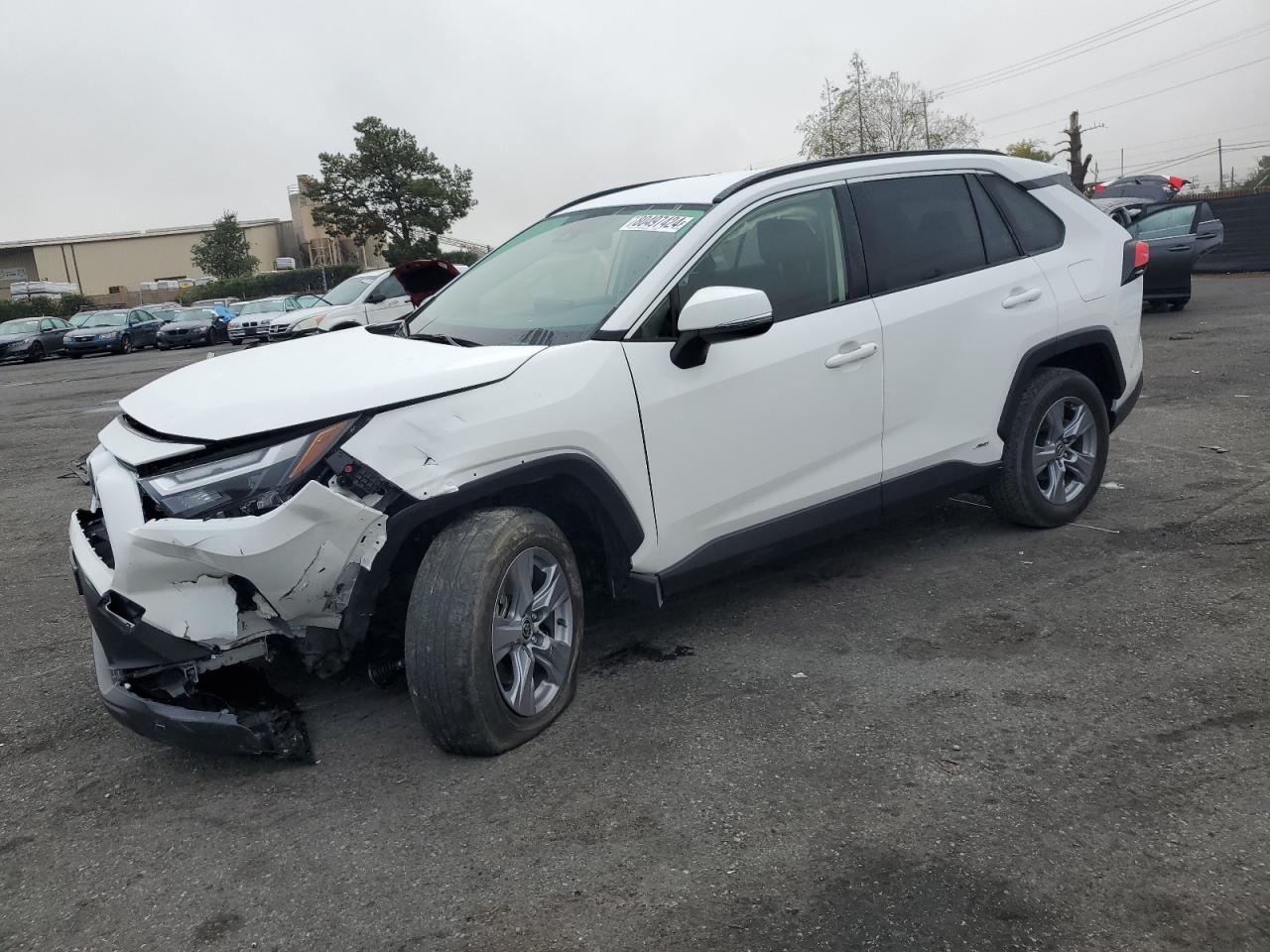 TOYOTA RAV4 LE 2023