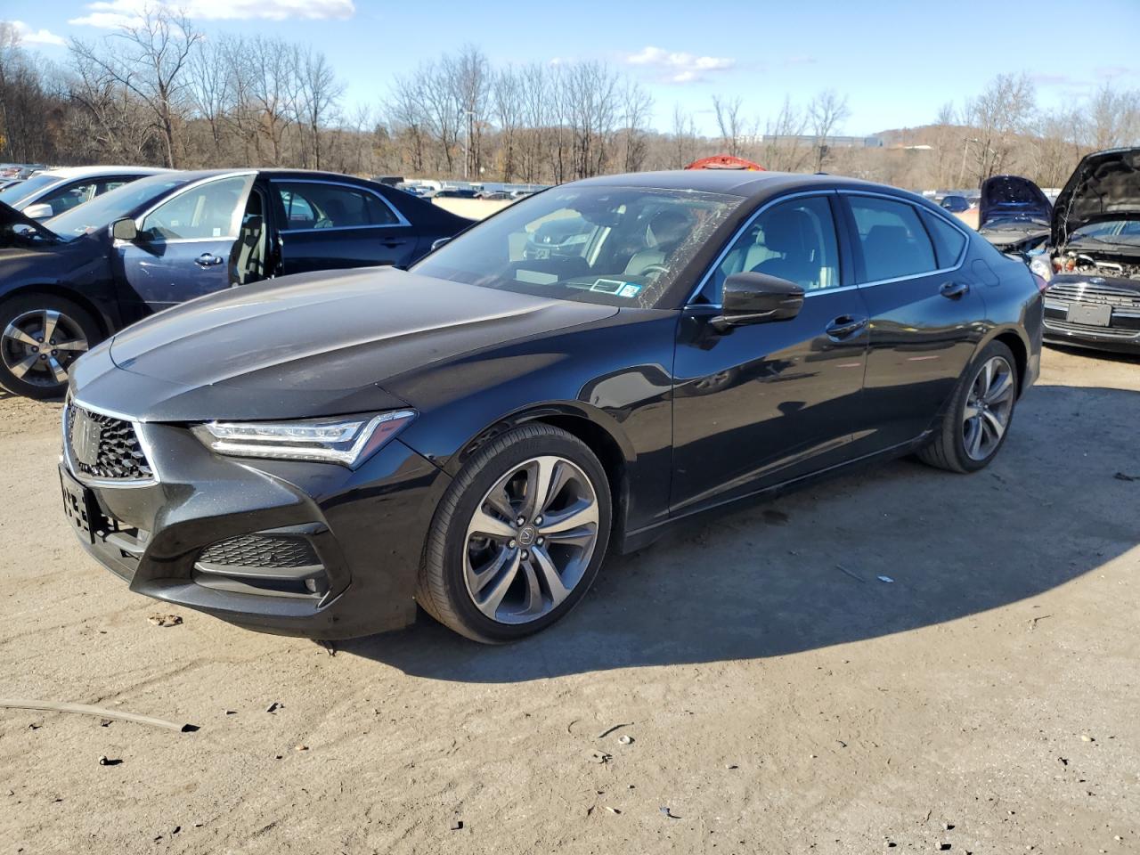 ACURA TLX ADVANC 2021