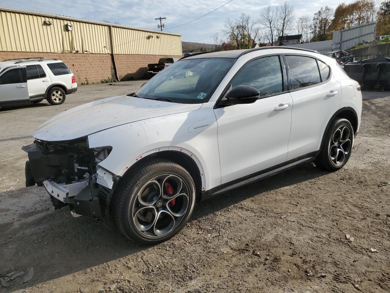 ALFA ROMEO STELVIO TI 2024