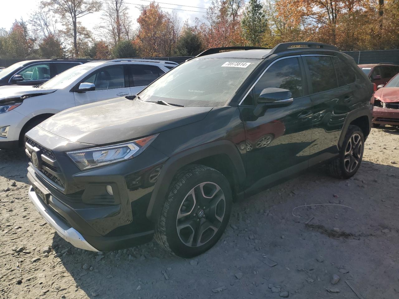 TOYOTA RAV4 ADVEN 2020