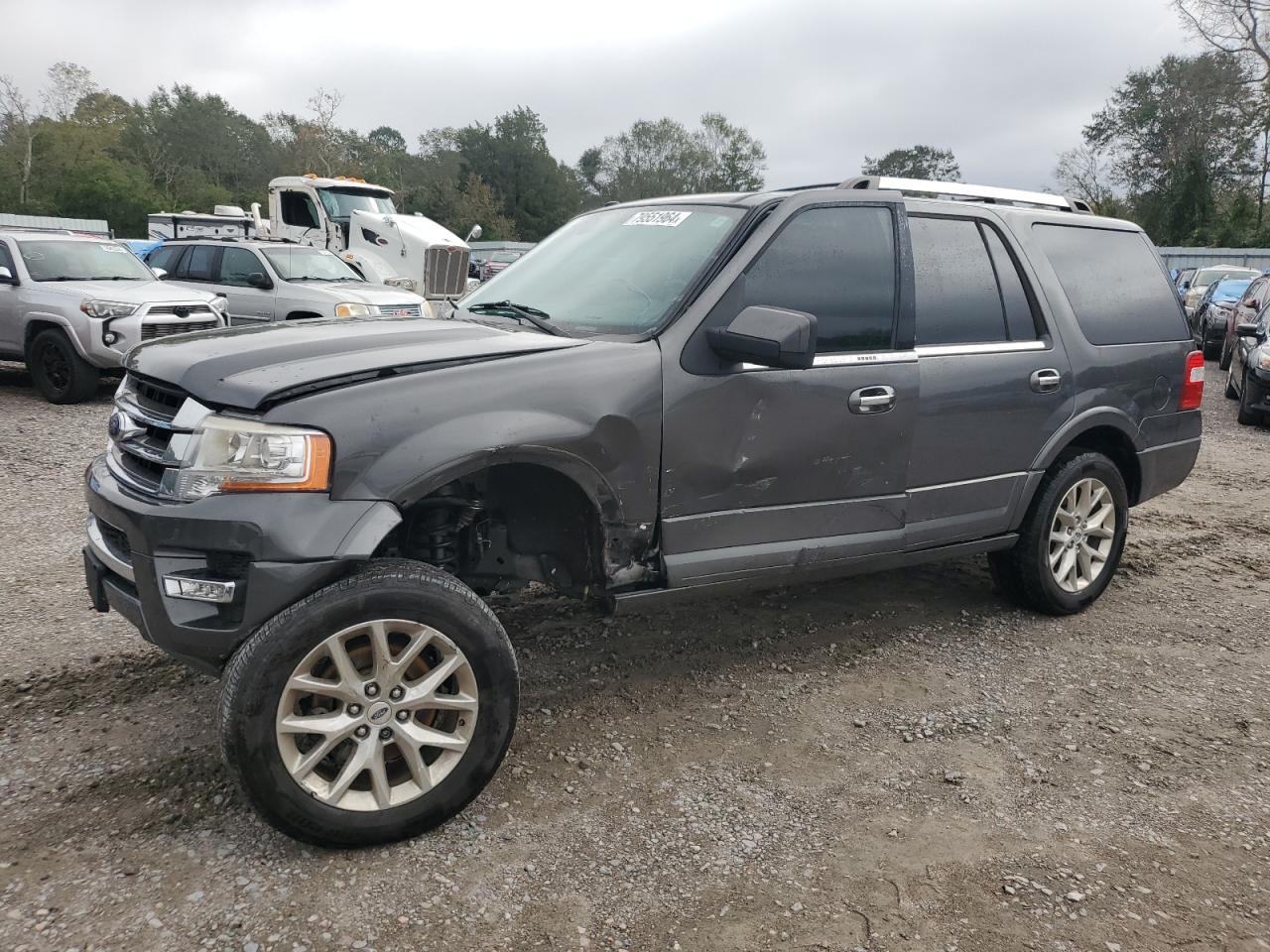 FORD EXPEDITION 2017