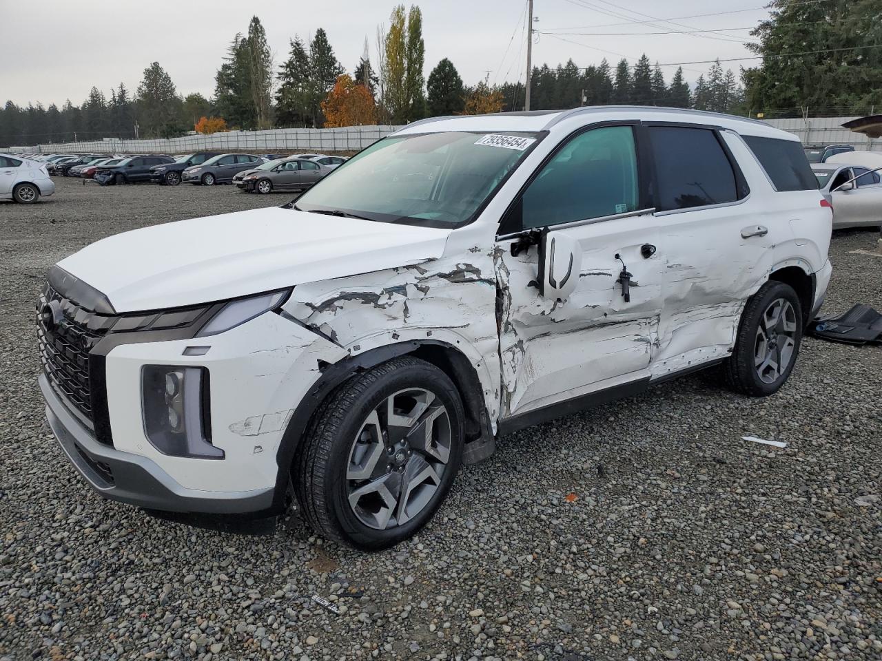 HYUNDAI PALISADE L 2024