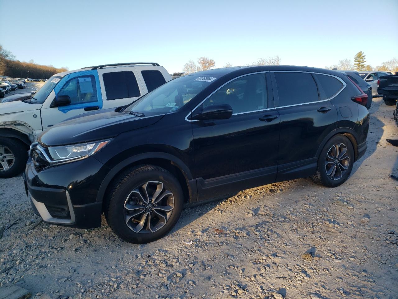 HONDA CR-V EX 2021