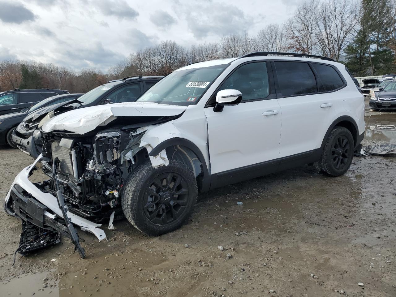 KIA TELLURIDE 2024