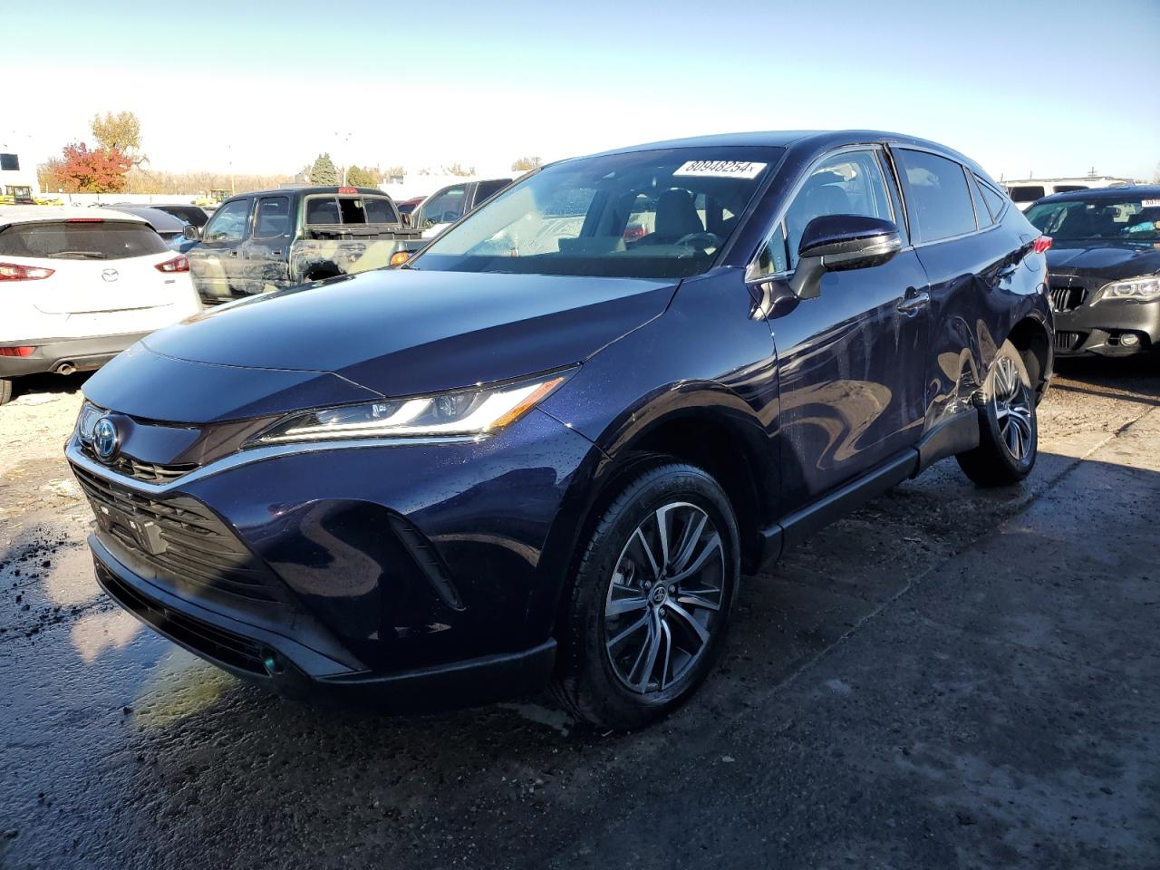 TOYOTA VENZA LE 2024