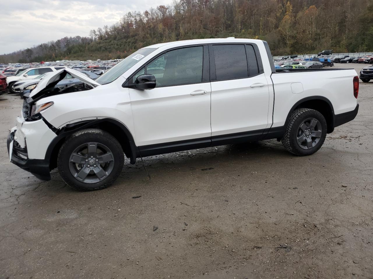 HONDA RIDGELINE 2024