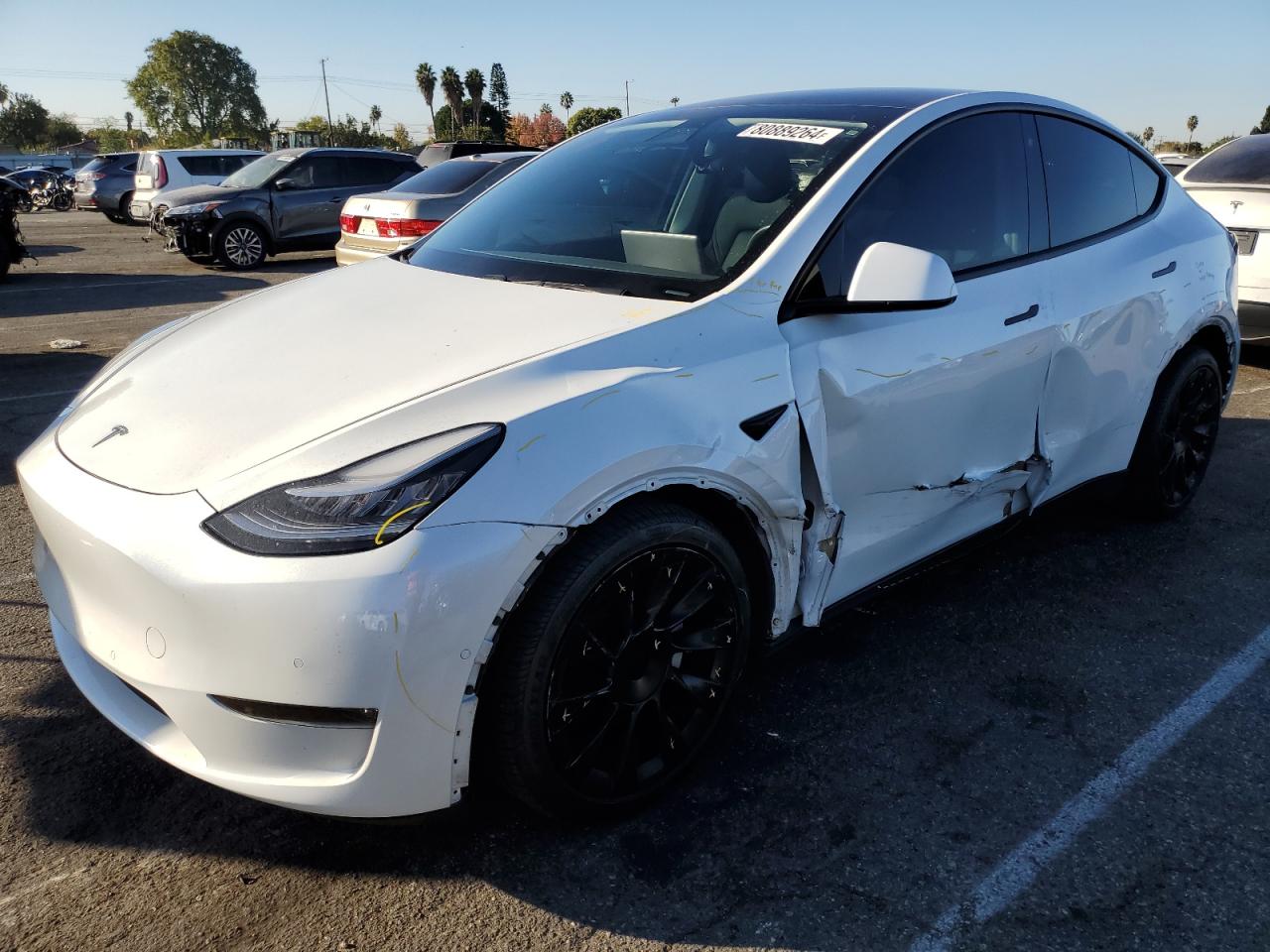 TESLA MODEL Y 2020