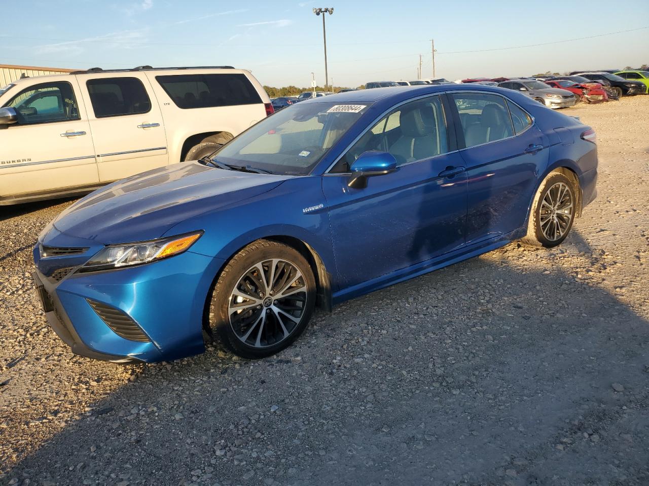 TOYOTA CAMRY SE 2020