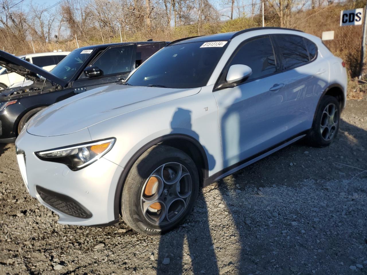 ALFA ROMEO STELVIO TI 2022