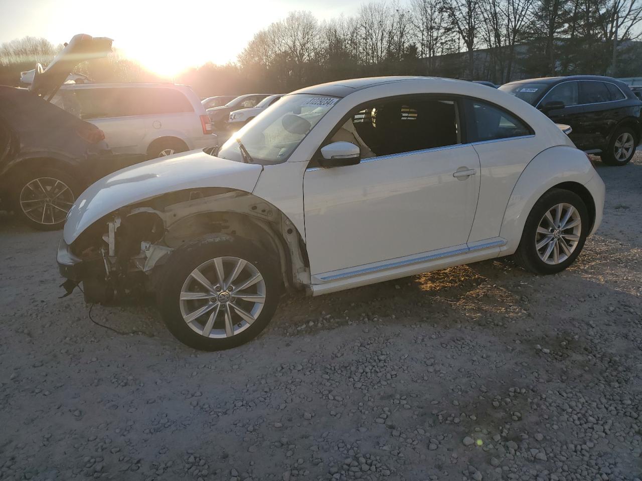 VOLKSWAGEN BEETLE SE 2019