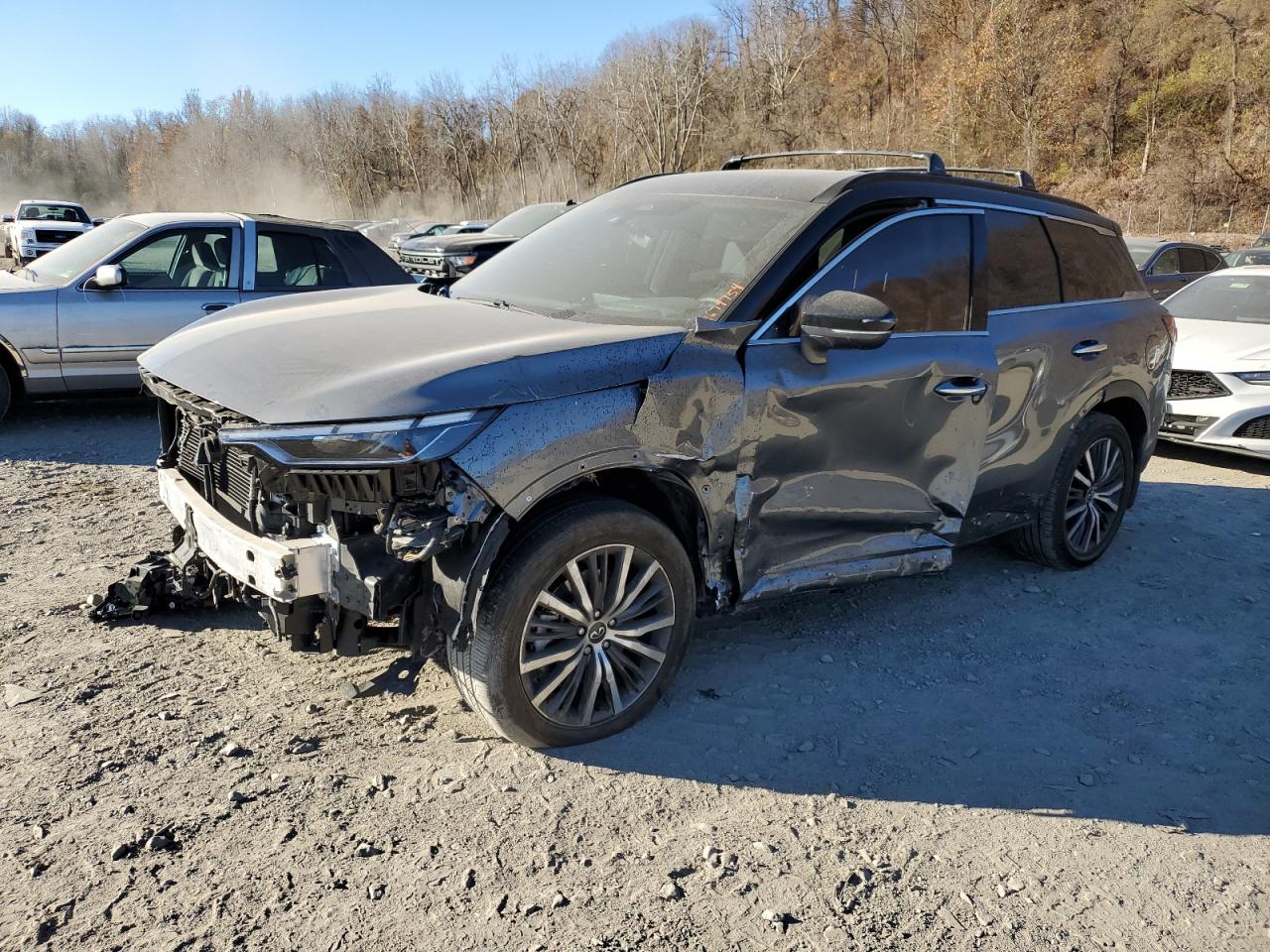 INFINITI QX60 AUTOG 2024